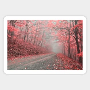 Misty Forest Road - Tickle Me Pink Sticker